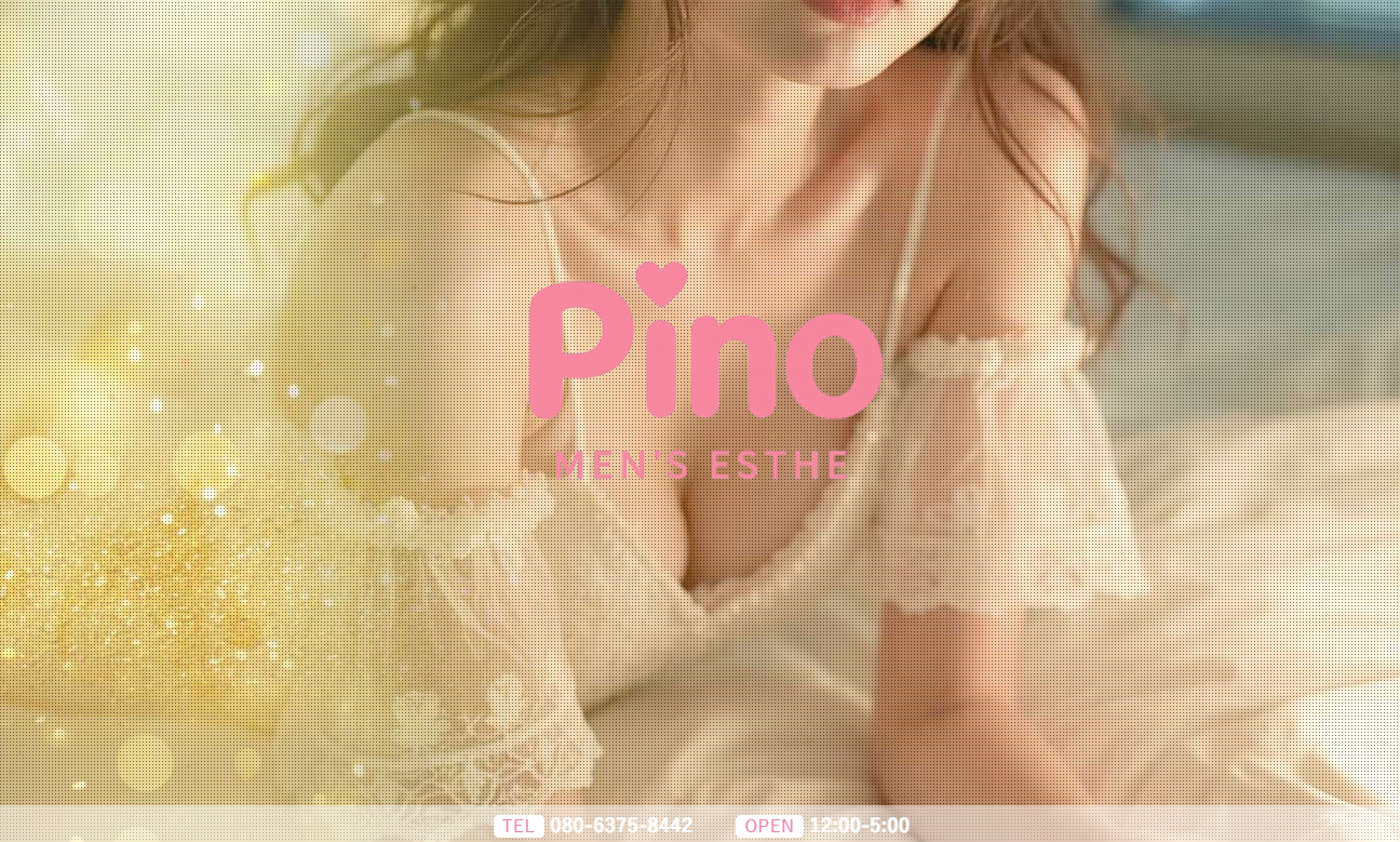Pino（ピノ）中野ルーム オフィシャルサイト
