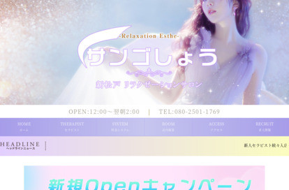サンゴしょう オフィシャルサイト