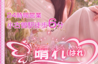 晴れ オフィシャルサイト
