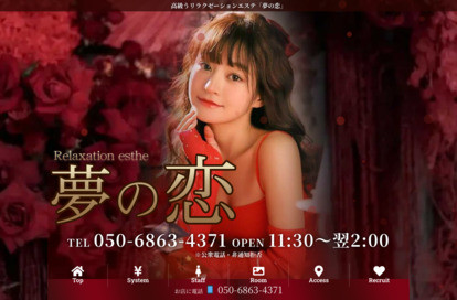 夢の恋 オフィシャルサイト