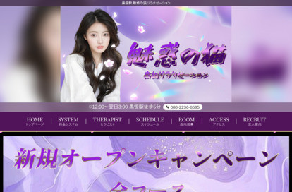 魅惑の猫 オフィシャルサイト