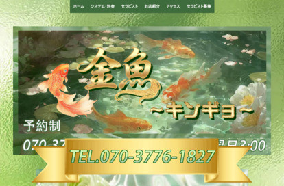金魚（キンギョ） オフィシャルサイト