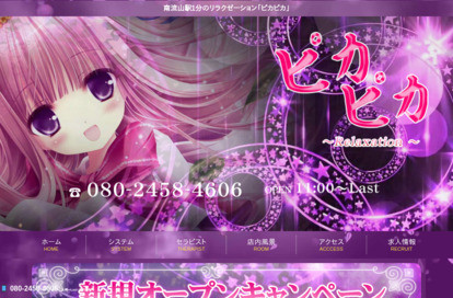 ピカピカ オフィシャルサイト