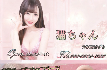 猫ちゃん オフィシャルサイト