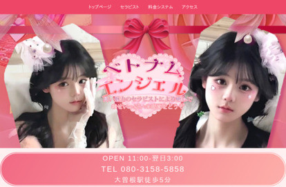 ベトナムエンジェル オフィシャルサイト