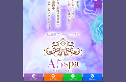 A5spa 秋葉原ルーム オフィシャルサイト