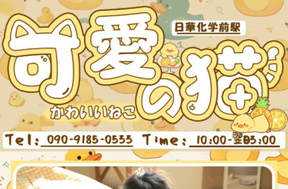 可愛い猫 オフィシャルサイト