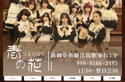 春の花 オフィシャルサイト