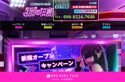 猫の日記 オフィシャルサイト