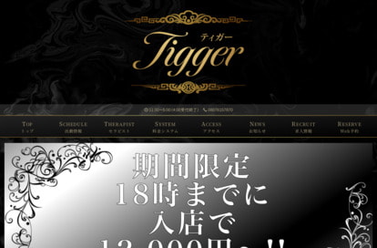 Tigger 溝の口ルーム オフィシャルサイト