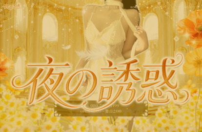 夜の誘惑 オフィシャルサイト