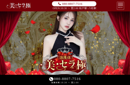 美・セラ極（泡洗体） オフィシャルサイト