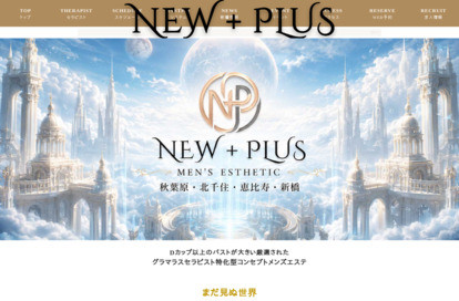 NEW+PLUS（ニュープラス）新橋ルーム オフィシャルサイト