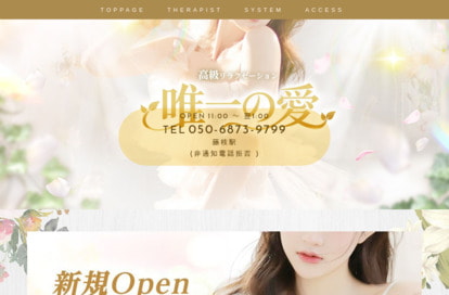唯一の愛 オフィシャルサイト