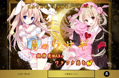 月のウサギ オフィシャルサイト