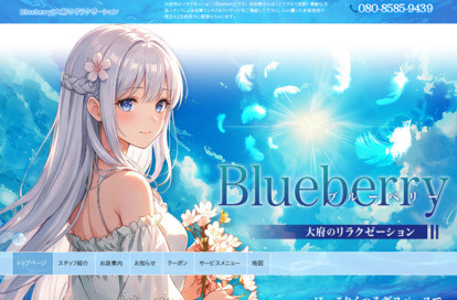 Blueberry(ブルーベリー) オフィシャルサイト