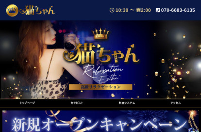 猫ちゃん オフィシャルサイト
