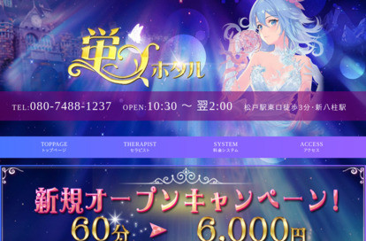 蛍（ホタル） オフィシャルサイト