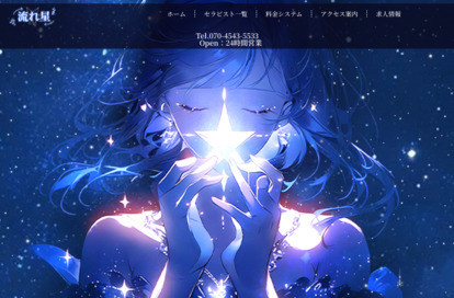 流れ星 オフィシャルサイト
