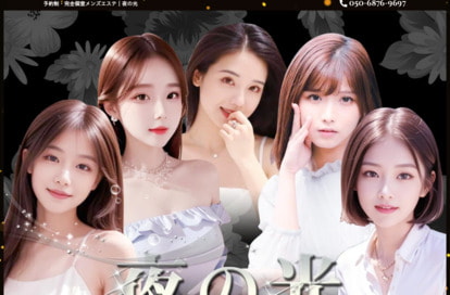 夜の光 オフィシャルサイト