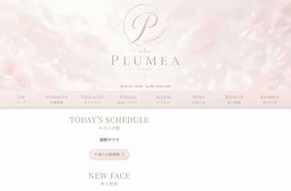 PLUMEA（プルメア） オフィシャルサイト