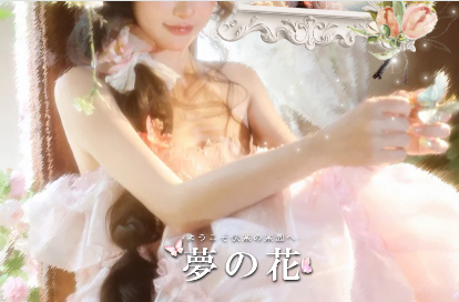 夢の花 オフィシャルサイト