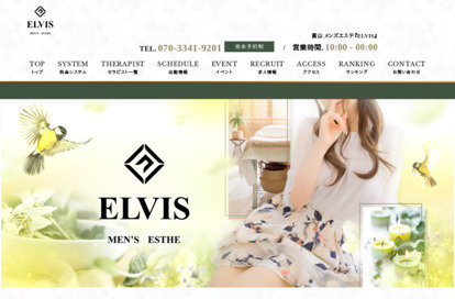 ELVIS オフィシャルサイト