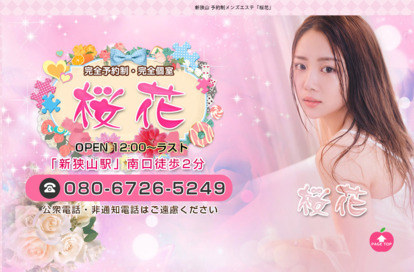 桜花 オフィシャルサイト
