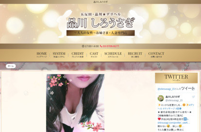 品川しろうさぎ オフィシャルサイト