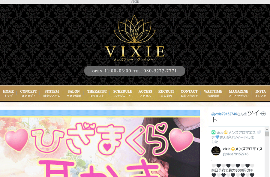 VIXIE（ヴィクシー） オフィシャルサイト