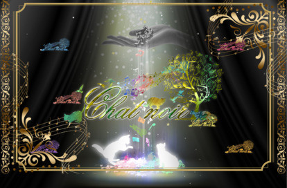 Chat Noir（シャノワール）新宿 オフィシャルサイト