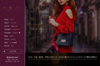 モー娘。ジャナイ 中央林間ルーム オフィシャルサイト